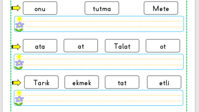 “T Sesi” Cümle Oluşturma Etkinlikleri