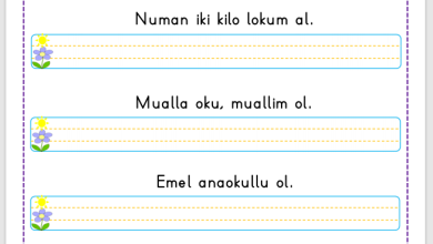 “U Sesi” Cümle Oluşturma Etkinlikleri