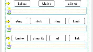 “M Sesi” Cümle Oluşturma Etkinlikleri