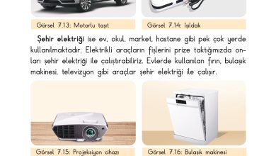 3. Sınıf Sdr Dikey Yayıncılık Fen Bilimleri Ders Kitabı Sayfa 193 Cevapları