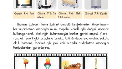 3. Sınıf Sdr Dikey Yayıncılık Fen Bilimleri Ders Kitabı Sayfa 182 Cevapları