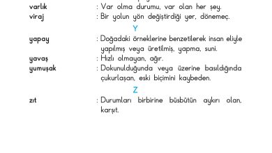 3. Sınıf Sdr Dikey Yayıncılık Fen Bilimleri Ders Kitabı Sayfa 226 Cevapları