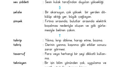 3. Sınıf Sdr Dikey Yayıncılık Fen Bilimleri Ders Kitabı Sayfa 225 Cevapları