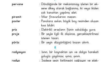 3. Sınıf Sdr Dikey Yayıncılık Fen Bilimleri Ders Kitabı Sayfa 224 Cevapları