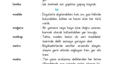 3. Sınıf Sdr Dikey Yayıncılık Fen Bilimleri Ders Kitabı Sayfa 223 Cevapları