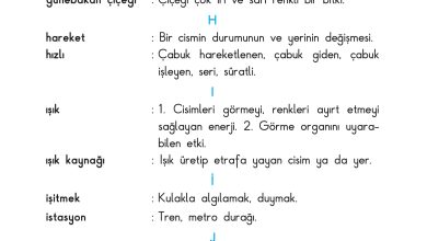 3. Sınıf Sdr Dikey Yayıncılık Fen Bilimleri Ders Kitabı Sayfa 222 Cevapları