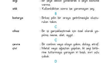 3. Sınıf Sdr Dikey Yayıncılık Fen Bilimleri Ders Kitabı Sayfa 221 Cevapları