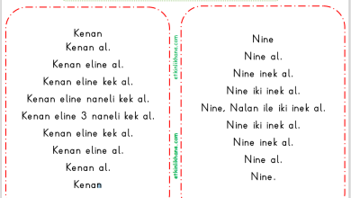 “N Sesi” Hızlı Okuma Metinleri