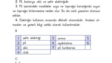 3. Sınıf Sdr Dikey Yayıncılık Fen Bilimleri Ders Kitabı Sayfa 219 Cevapları