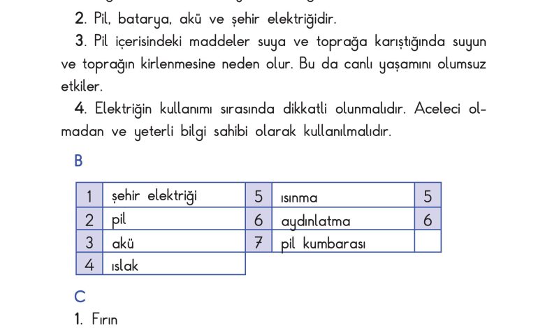 3. Sınıf Sdr Dikey Yayıncılık Fen Bilimleri Ders Kitabı Sayfa 219 Cevapları