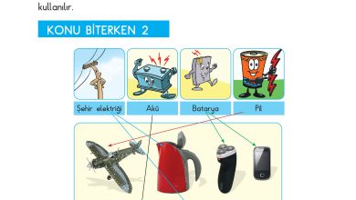 3. Sınıf Sdr Dikey Yayıncılık Fen Bilimleri Ders Kitabı Sayfa 218 Cevapları