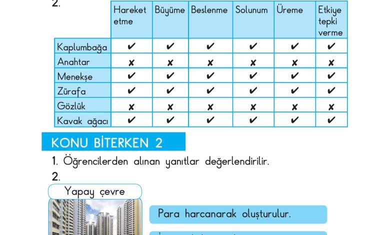 3. Sınıf Sdr Dikey Yayıncılık Fen Bilimleri Ders Kitabı Sayfa 216 Cevapları