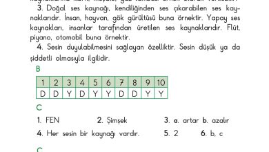 3. Sınıf Sdr Dikey Yayıncılık Fen Bilimleri Ders Kitabı Sayfa 215 Cevapları