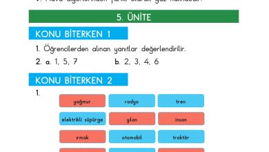 3. Sınıf Sdr Dikey Yayıncılık Fen Bilimleri Ders Kitabı Sayfa 214 Cevapları