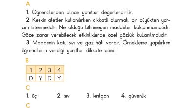 3. Sınıf Sdr Dikey Yayıncılık Fen Bilimleri Ders Kitabı Sayfa 213 Cevapları