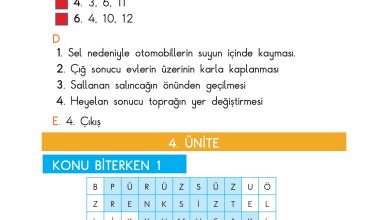 3. Sınıf Sdr Dikey Yayıncılık Fen Bilimleri Ders Kitabı Sayfa 212 Cevapları