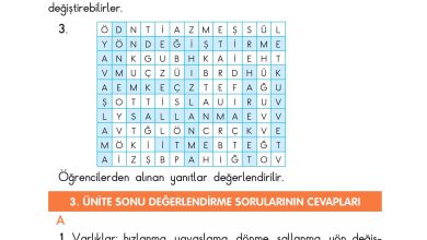 3. Sınıf Sdr Dikey Yayıncılık Fen Bilimleri Ders Kitabı Sayfa 211 Cevapları