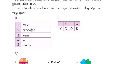 3. Sınıf Sdr Dikey Yayıncılık Fen Bilimleri Ders Kitabı Sayfa 208 Cevapları