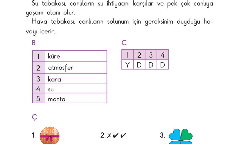 3. Sınıf Sdr Dikey Yayıncılık Fen Bilimleri Ders Kitabı Sayfa 208 Cevapları