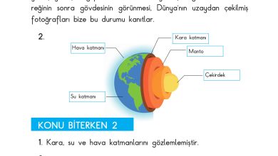 3. Sınıf Sdr Dikey Yayıncılık Fen Bilimleri Ders Kitabı Sayfa 207 Cevapları