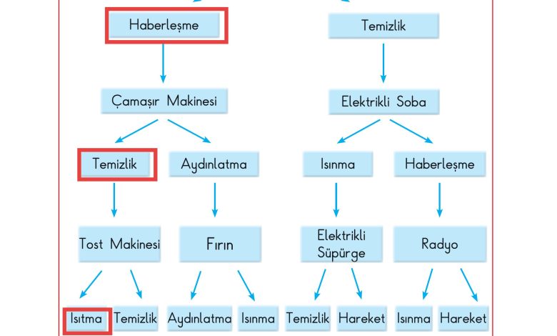 3. Sınıf Sdr Dikey Yayıncılık Fen Bilimleri Ders Kitabı Sayfa 206 Cevapları