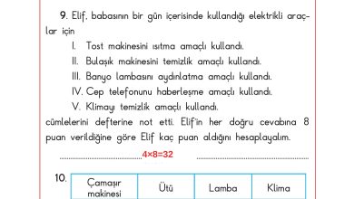 3. Sınıf Sdr Dikey Yayıncılık Fen Bilimleri Ders Kitabı Sayfa 205 Cevapları