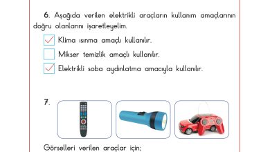 3. Sınıf Sdr Dikey Yayıncılık Fen Bilimleri Ders Kitabı Sayfa 204 Cevapları