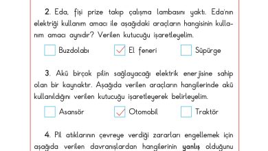 3. Sınıf Sdr Dikey Yayıncılık Fen Bilimleri Ders Kitabı Sayfa 203 Cevapları