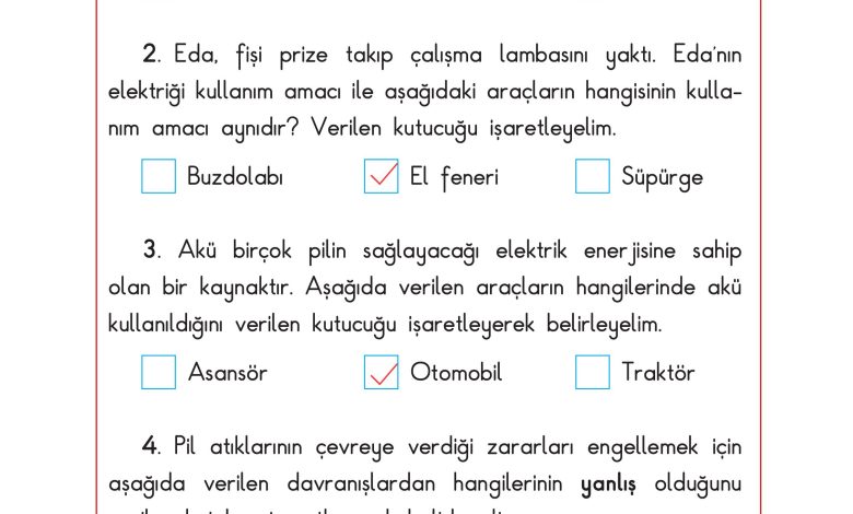 3. Sınıf Sdr Dikey Yayıncılık Fen Bilimleri Ders Kitabı Sayfa 203 Cevapları