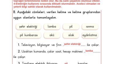 3. Sınıf Sdr Dikey Yayıncılık Fen Bilimleri Ders Kitabı Sayfa 202 Cevapları