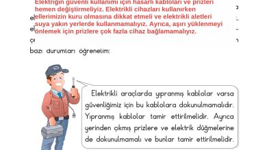 3. Sınıf Sdr Dikey Yayıncılık Fen Bilimleri Ders Kitabı Sayfa 199 Cevapları