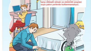 3. Sınıf Sdr Dikey Yayıncılık Fen Bilimleri Ders Kitabı Sayfa 197 Cevapları