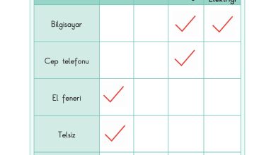 3. Sınıf Sdr Dikey Yayıncılık Fen Bilimleri Ders Kitabı Sayfa 194 Cevapları