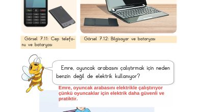 3. Sınıf Sdr Dikey Yayıncılık Fen Bilimleri Ders Kitabı Sayfa 192 Cevapları