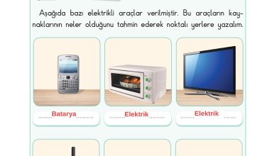 3. Sınıf Sdr Dikey Yayıncılık Fen Bilimleri Ders Kitabı Sayfa 190 Cevapları