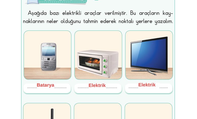 3. Sınıf Sdr Dikey Yayıncılık Fen Bilimleri Ders Kitabı Sayfa 190 Cevapları