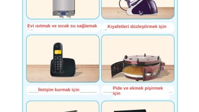 3. Sınıf Sdr Dikey Yayıncılık Fen Bilimleri Ders Kitabı Sayfa 187 Cevapları