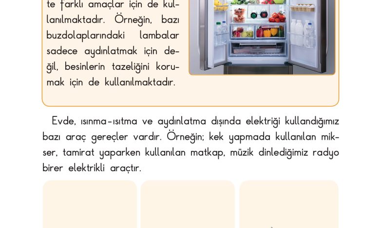 3. Sınıf Sdr Dikey Yayıncılık Fen Bilimleri Ders Kitabı Sayfa 183 Cevapları