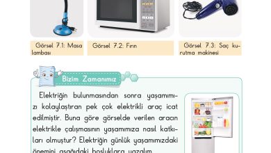 3. Sınıf Sdr Dikey Yayıncılık Fen Bilimleri Ders Kitabı Sayfa 181 Cevapları