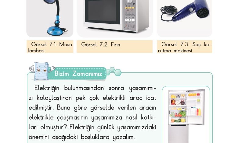 3. Sınıf Sdr Dikey Yayıncılık Fen Bilimleri Ders Kitabı Sayfa 181 Cevapları