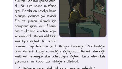 3. Sınıf Sdr Dikey Yayıncılık Fen Bilimleri Ders Kitabı Sayfa 180 Cevapları