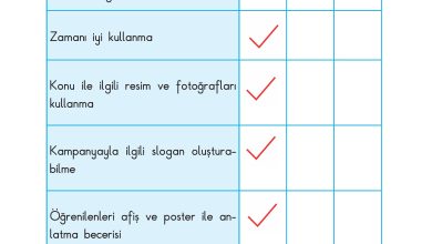 3. Sınıf Sdr Dikey Yayıncılık Fen Bilimleri Ders Kitabı Sayfa 176 Cevapları