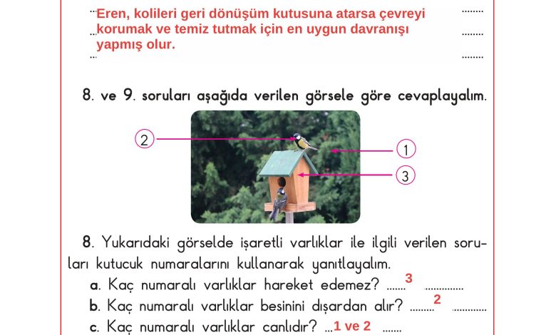 3. Sınıf Sdr Dikey Yayıncılık Fen Bilimleri Ders Kitabı Sayfa 174 Cevapları