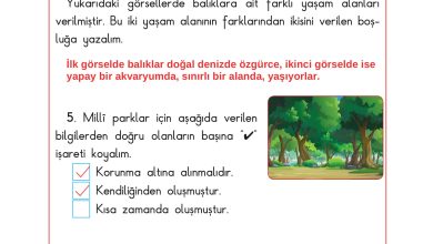 3. Sınıf Sdr Dikey Yayıncılık Fen Bilimleri Ders Kitabı Sayfa 173 Cevapları