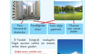 3. Sınıf Sdr Dikey Yayıncılık Fen Bilimleri Ders Kitabı Sayfa 170 Cevapları