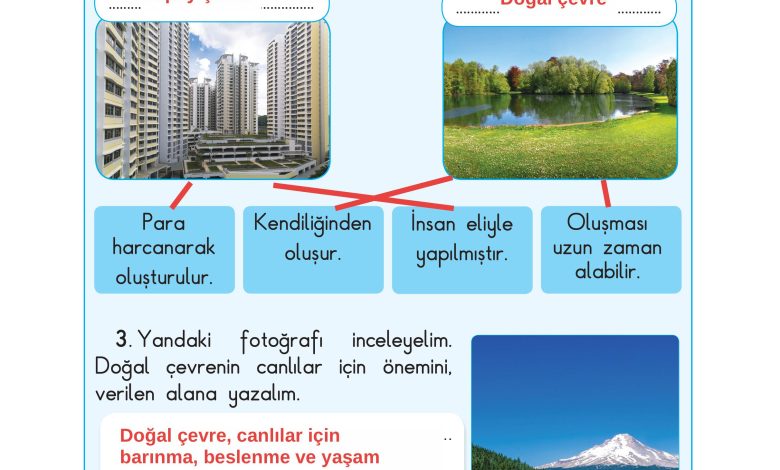 3. Sınıf Sdr Dikey Yayıncılık Fen Bilimleri Ders Kitabı Sayfa 170 Cevapları