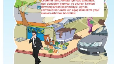 3. Sınıf Sdr Dikey Yayıncılık Fen Bilimleri Ders Kitabı Sayfa 157 Cevapları