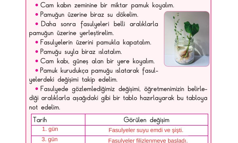 3. Sınıf Sdr Dikey Yayıncılık Fen Bilimleri Ders Kitabı Sayfa 154 Cevapları