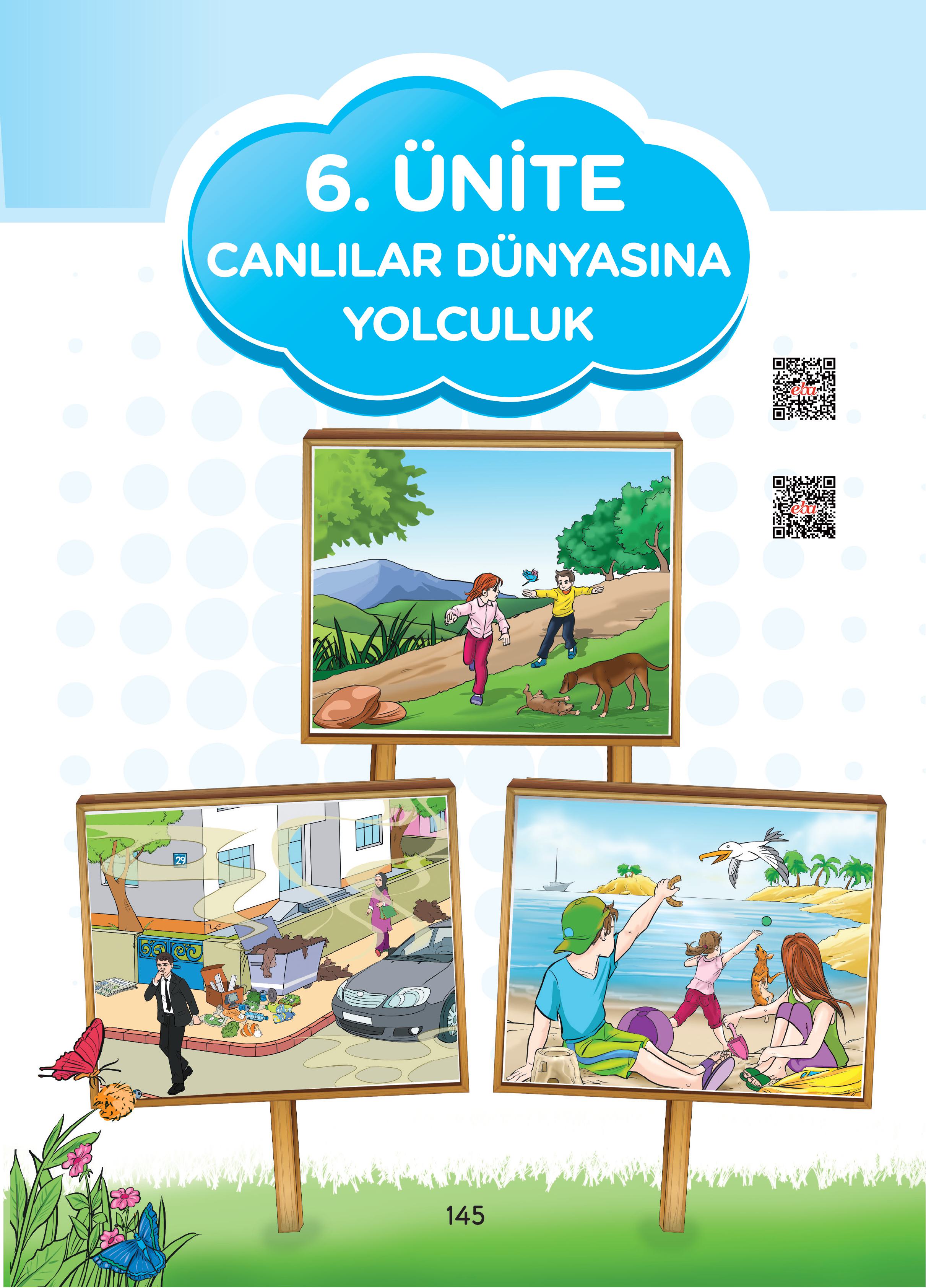 3. Sınıf Sdr Dikey Yayıncılık Fen Bilimleri Ders Kitabı Sayfa 145 Cevapları