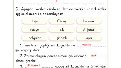 3. Sınıf Sdr Dikey Yayıncılık Fen Bilimleri Ders Kitabı Sayfa 143 Cevapları